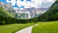 Beautiful alpine valley, gravel road, green meadows surrounded by mountains. Jezersko, Slovenia. Royalty Free Stock Photo