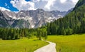 Beautiful alpine valley, gravel road, green meadows surrounded by mountains. Jezersko, Slovenia. Royalty Free Stock Photo