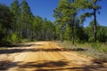 A gravel road into the Lake Talquin State Park and Forest. Tallahassee, Florida