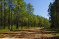 A gravel road into the Lake Talquin State Park and Forest. Tallahassee, Florida