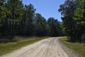 A gravel road into the Lake Talquin State Park and Forest. Tallahassee, Florida