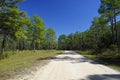 A gravel road into the Lake Talquin State Park and Forest. Tallahassee, Florida