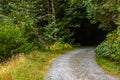 gravel road leading into dark tunnel in forest trees Royalty Free Stock Photo