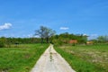 Gravel road leading through fields to Krakov forest