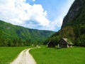 Gravel road leading throug Voje valley