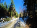 Gravel road leading up to Uskovnica in Triglav national park