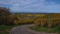 Gravel road leading through the vineyards of Durbach, Germany with a beautiful panorama view over the foothills of Black Forest. Royalty Free Stock Photo