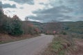 Gravel road and magnificent green grass near the road