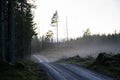 Gravel road by a misty evening