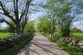 Gravel road with mossy stone walls