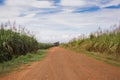 Gravel road in open spaces Royalty Free Stock Photo