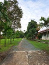 The gravel road between trees | grass office bulding Royalty Free Stock Photo