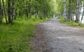 Gravel Road in UmeÃÂ°, Sweden