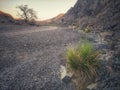 Gravel road in Wadi Alkhodh, Muscat Oman Royalty Free Stock Photo