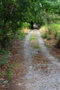 Gravel Road way at Rural in Tropical Park.