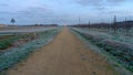 Gravel road way straight on a cold winter landscape on a dusk sunrise