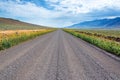 Gravel Road  Wildflowers  and Steens Royalty Free Stock Photo