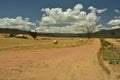 A gravel road winding into a wheat farm Royalty Free Stock Photo