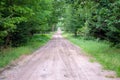 Gravel and sand road in the pine forest. Diminishing perspective of the path in the woods. Walking or driving through the trees on Royalty Free Stock Photo