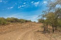Gravel secondary road in northern Namibia Royalty Free Stock Photo