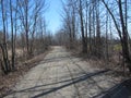 Gravel side road early spring in Canada