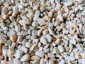 Gravel and Small stone Royalty Free Stock Photo