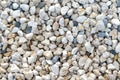 Gravel stone background or texture