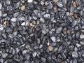 Gravel textrue background Royalty Free Stock Photo