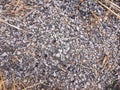 Gravel texture or gravel background for design. Real grunge texture background and small stone