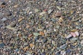 Gravel texture background. Pebble beach cose up