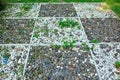 Gravel texture path in garden. Royalty Free Stock Photo