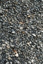 Gravel texture. Small stones, little rocks, pebbles in many shades of grey, white and blue. Texture of little rocks, background Royalty Free Stock Photo