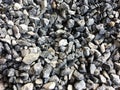 Gravel texture. Small stones, little rocks, pebbles in many shades of grey, white, brown, yellow colour. Background of small wet Royalty Free Stock Photo