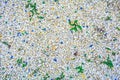 Gravel texture of white, yellow, blue natural stone rubble, green grass plants Royalty Free Stock Photo