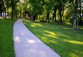 Gravel threshing path in city park light sand green lawn and trees trunks slight bend plain