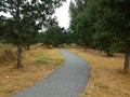 Gravel trail or path with brown grasses and trees Royalty Free Stock Photo