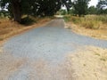 Gravel trail or path with brown grasses and trees Royalty Free Stock Photo