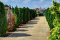 Walkway in Cemetery, medieval town of Labin, Croatia, in the background. Royalty Free Stock Photo