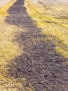 Abstract Winter Background Features Gravel and Weeds Royalty Free Stock Photo