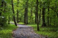 Graveled foot path through a wooded area in Tennessee Royalty Free Stock Photo