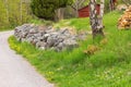 Gravelled countryroad, Sweden