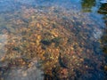 Gravelly bottom of the stream illuminated by sunlight through clear water Royalty Free Stock Photo