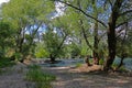 Gravelly riverside with trees Royalty Free Stock Photo