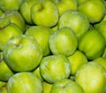 Gravenstein apples on display Royalty Free Stock Photo