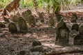 Graves at ancient creepy abandoned maldivian cemetery in the jungles at the island Manadhoo the capital of Noonu atoll