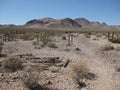 Graves in Bullfrog Rhyolite Cemetery, Nevada Desert Royalty Free Stock Photo