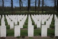 Graves on the cemetery in Oosterbeek for airborne soldiers