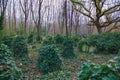 Lost graves Highgate Cemetery