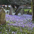 Graves and crosses and stones at old gothic cemetery in England Royalty Free Stock Photo