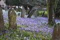 Graves and crosses and stones at old gothic cemetery in England